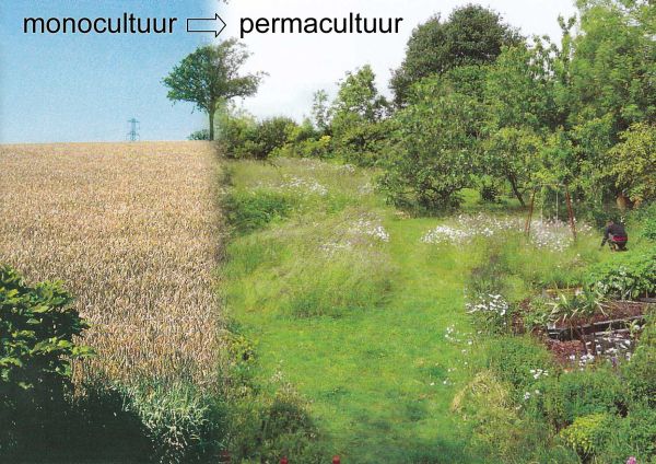 Monocultuur-Permacultuur